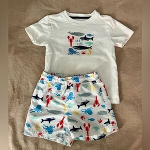 Janie and Jack swim trunks with matching shirt